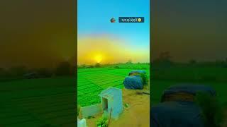 Mehul Solanki A1 8866608973