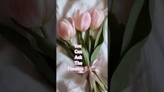 pretty little baby #love #trendingmusic #trending |Manaal Kamran|Subscribe #musictrends