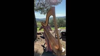 Harp solo for weddings  in Tuscany - info & bookings: info@fabiodex.com