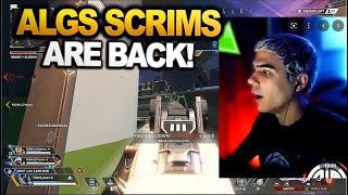 ImperialHal Is Back! ALGS Scrims Return as the Break Ends!