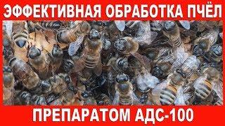 Эффективная обработка пчёл препаратом АДС-100 | Processing of bees ADS-100