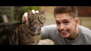 Joe Weller - Kitty (Music Video)