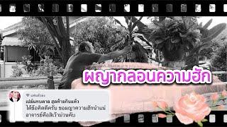 ผญากลอนความรักหนุ่มสาว #ผญาจารย์ครูพงษ์ #ผญา #ความรัก #ผญาอีสาน