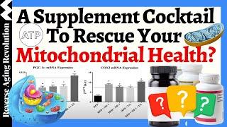 Will THIS Supplement Cocktail RESCUE YOUR Mitochondrial Health? | Dr. Tarnopolsky