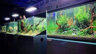 Aquascaping session live with Oliver Knott, Dave Chow, Adam Paszczela