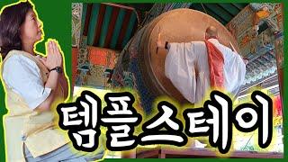 속세를 떠난 오공마마의 해인사 템플스테이(Templestay) 원래 나는 자연과 하나였다.