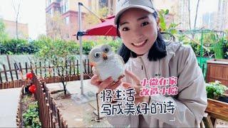 2122集:唯有时光与美不可辜负，在家和爸妈改造小院，今天又搬东西回农村 小微在家的日常也开心，每天都喝上一大杯果蔬汁，和爸妈一起改造院子，终于要开始弄户外地板了，回到农村老家的感觉真好。