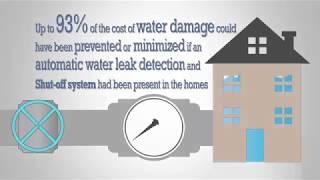 Leak Gopher Water Leak Detection