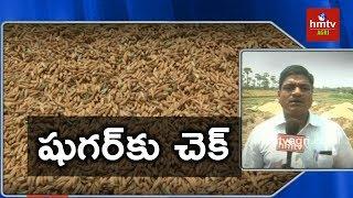 RNR 15048 Giving Good Yield | Diabetes-fighter Rice | hmtv Agri