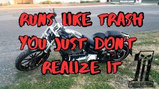 Hot Harley-Davidson Motorcycles and Riders Don't Even Know It