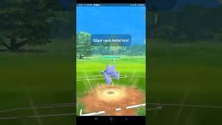 pokemon go #pokemongo #pokemongobattleleague #pokemongopvp #pokemon #gblteam #pokemongogbl