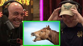 Joe Rogan tells Shane Gillis about Mr. Hands, Saddle up Partner | JRE 1957