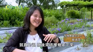 【花蓮吉安】黃嘉襄的有機香草夢 | 有機無毒 | 218 | #美麗心台灣