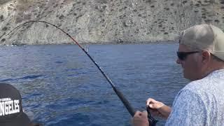 Yellowtail fishing Catalina