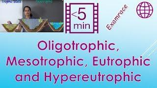 Trophic State: Oligotrophic, Mesotrophic, Eutrophic and Hypereutrophic