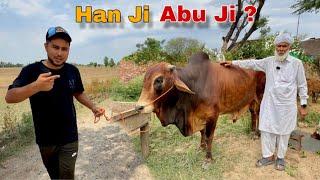 Sub Ko Bail Kaisa Laga ? 