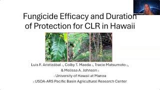 Fungicide Efficacy and Duration of Protection for CLR in Hawaii