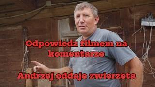 Odpowiedz Andrzeja na komentarze Rolnik z Podlasia oddaje zwierzęta za darmo