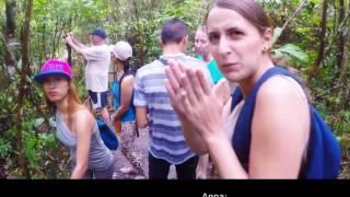 Philippines: Tarsiers of Bohol