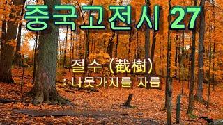중국 고전시 시리즈 제27편 (절수, 소요영)