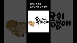 [도안글씨] 키크니 작가님의 키크니 작명에 글씨디자인 작업 (새집증후군/ 꼬순내/ 티모시 살라메/ 디즈니랜드)