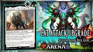 I LET MY CAT BUILD THIS DECK  Selesyna Cat Tribal MTGA Deck Guide