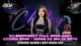 DJ BREAKBEAT TERBARU 2024 CIINAN BANA | UDANG DI BALIK BATU | PUNKROCK JALANAN | SAKIT BERKALI KALI