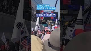 3.8일 광화문현장스케치 탄핵무효