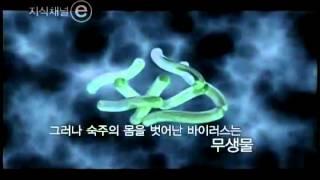 EBS 클립뱅크(Clipbank) - 바이러스(Virus)
