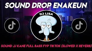 DJ DROP ENAKEUN V2 SOUND JJ KANE FULL BASS VIRAL TIKTOK TERBARU 2024 ( SLOWED X REVERB ) 