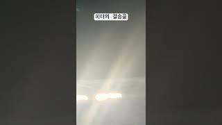241006 수원vs안양 3전 3승!! 피터의 결승골 장면 #수원삼성 #k리그 #2부 #청백적 #응원가