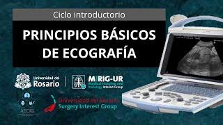 Principios Básicos de Ecografía - Ciclo introductorio - MIRIG-UR (Universidad del Rosario)