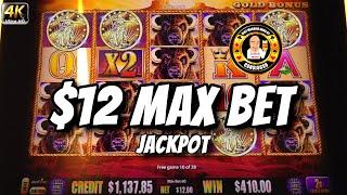 $12 MAX BET JACKPOT - Buffalo Gold Slot Machine