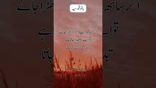 Bano Qudsia Quotes | Best Urdu Quotes | Bano Qudsia #shorts #banoqudsiaquotes #besturduquotes #yt