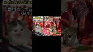 #猫meme小剧场 #猫meme #猫meme搞笑剧情 #猫meme剧场
