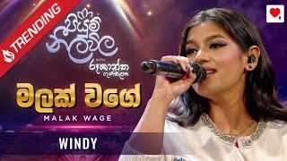 Malak Wage (මලක් වගේ) -  @WindyGoonatillake | Piyum Neela Vila (පියුම් නීල විල)