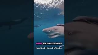  THE DEADLIEST ANIMAL on earth? It’s NOT What You Think! #shorts