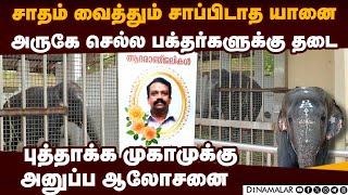 யானை தாக்கி இறந்த 2 பேர் சொந்த ஊரில் சோகம்  Tiruchendur temple elephant attacked Mahout and man die