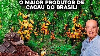 CONHEÇA A MAIOR FAZENDA DE CACAU DO BRASIL - Inacreditável!