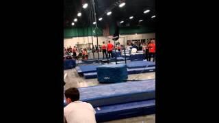 JP's Level 9 Parallel Bars