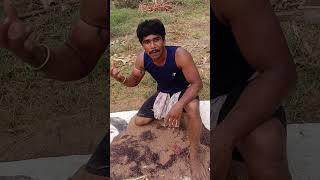 anni udhyogalu kanna ide better #natural #seeds #vigitable #food #health #shorts #youtube #video