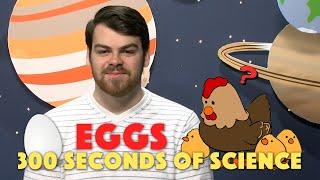 Why The Eggs We Eat Don't Hatch | 30 Seconds of Science