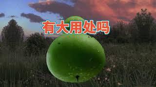 什麽才是大用呢？生存法则是什么呢。莊子故事  What is great use? What is the law of survival. Zhuangzi Story
