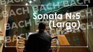 Bach: Sonata №5 (Largo)