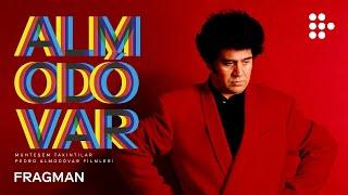 MUHTEŞEM TAKINTILAR: PEDRO ALMODÓVAR FİLMLERİ | Fragman | MUBI Özenle Seçti