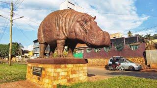 A Walk in Kampala Kamwokya Uganda African Walk Video