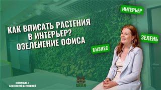 Как вписать растения в интерьер? Озеленение офиса