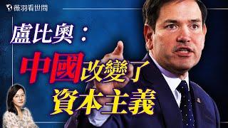 美國向中國開放是歷史性災難？盧比奧痛斥兩大惡果！｜薇羽看世間 20241114