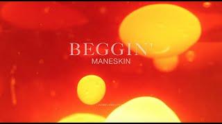 Maneskin -  Beggin'  (Lyrics)