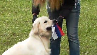 "Цирк с конями" ("Путёвка в жизнь" 05.10.2013).